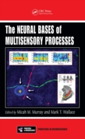 Neural Bases of Multisensory Processes