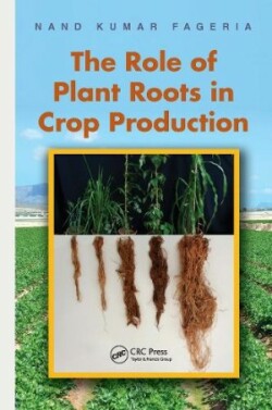 Role of Plant Roots in Crop Production