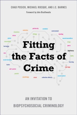 Fitting the Facts of Crime