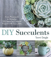 DIY Succulents