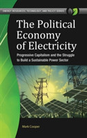 Political Economy of Electricity