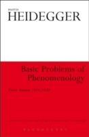 Basic Problems of Phenomenology