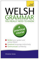 Welsh Grammar You Really Need to Know: Teach Yourself