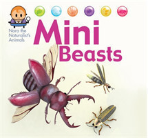 Nora the Naturalist's Animals: Minibeasts