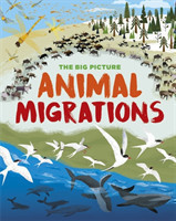 Big Picture: Animal Migrations