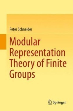 Modular Representation Theory of Finite Groups