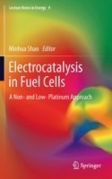 Electrocatalysis in Fuel Cells