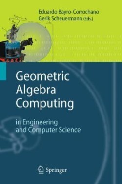 Geometric Algebra Computing