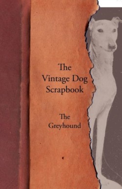 Vintage Dog Scrapbook - The Greyhound