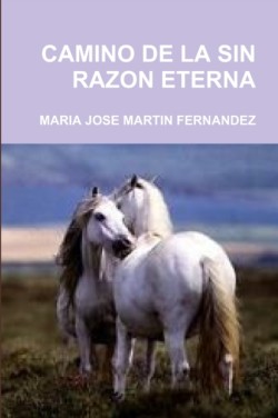 Camino de la Sin Razon Eterna