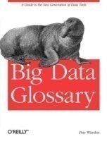 Big Data Glossary