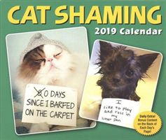 Cat Shaming 2019 Day-to-Day Calendar