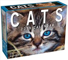 Cats 2019 Mini Day-to-Day Calendar