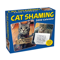 Cat Shaming 2020 Day-to-Day Calendar