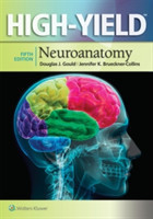 High-Yield(TM) Neuroanatomy, 5th Ed.