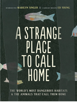 Strange Place to Call Home