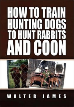 How to Train Hunting Dogs to Hunt Rabbits and Coon