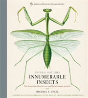 Innumerable Insects