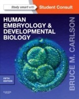 Human Embryology and Developmental Biology 5th Ed.