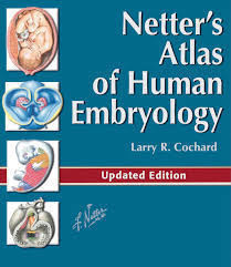 Netter´s Atlas of Human Embryology, Updated Ed.