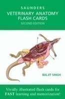 Veterinary Anatomy Flash Cards, 2nd Ed.