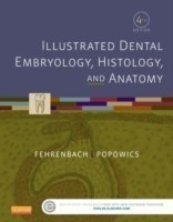 Illustrated Dental Embryology, Histology, and Anatomy, 4th ed.