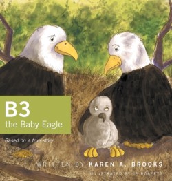 B3 the Baby Eagle