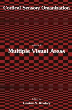 Multiple Visual Areas