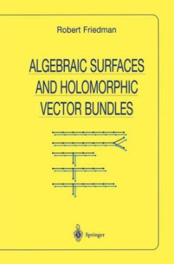 Algebraic Surfaces and Holomorphic Vector Bundles