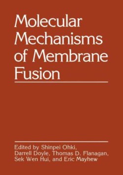 Molecular Mechanisms of Membrane Fusion