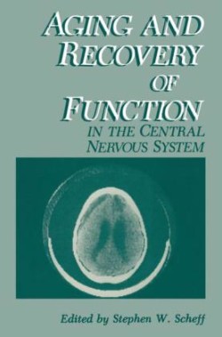 Aging and Recovery of Function in the Central Nervous System