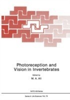 Photoreception and Vision in Invertebrates