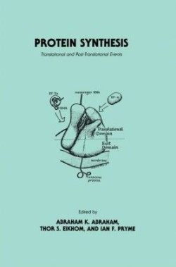 Protein Synthesis