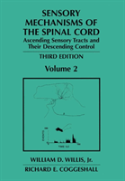 Sensory Mechanisms of the Spinal Cord