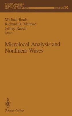 Microlocal Analysis and Nonlinear Waves