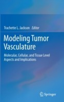 Modeling Tumor Vasculature