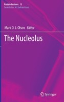 Nucleolus