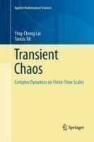 Transient Chaos
