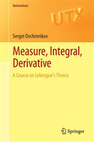 Measure, Integral, Derivative : A Course on Lebesgue's Theory