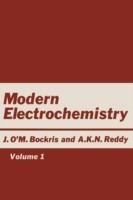 Modern Electrochemistry