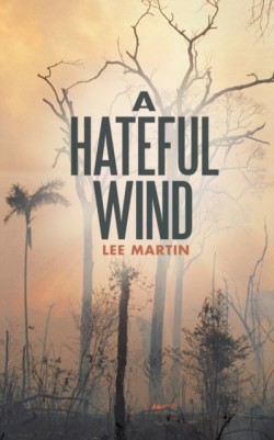 Hateful Wind