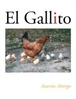 Gallito