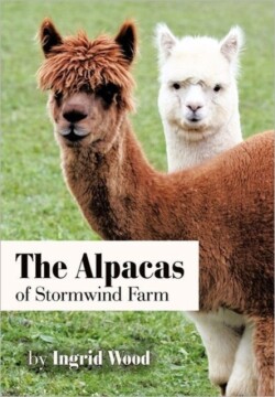 Alpacas of Stormwind Farm