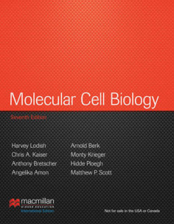 Molecular Cell Biology, 7th Ed.