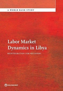 Labor Market Dynamics in Libya