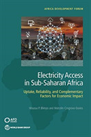 Electricity access in sub-Saharan Africa