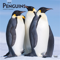Penguins 2019 Square Wall Calendar