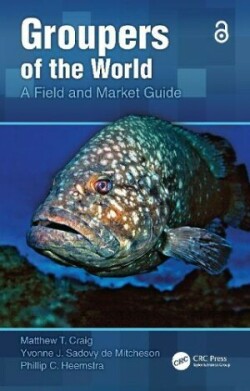 Groupers of the World