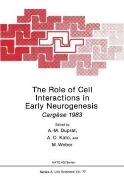 Role of Cell Interactions in Early Neurogenesis