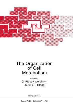 Organization of Cell Metabolism